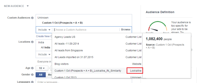 Custom-and-look-alike-audience