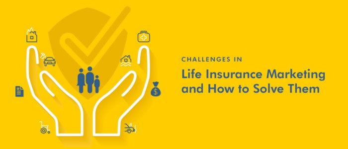 Challenges in Life Insurance Marketing