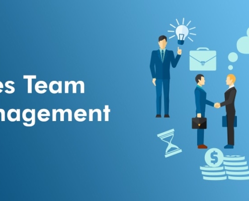 Sales team management