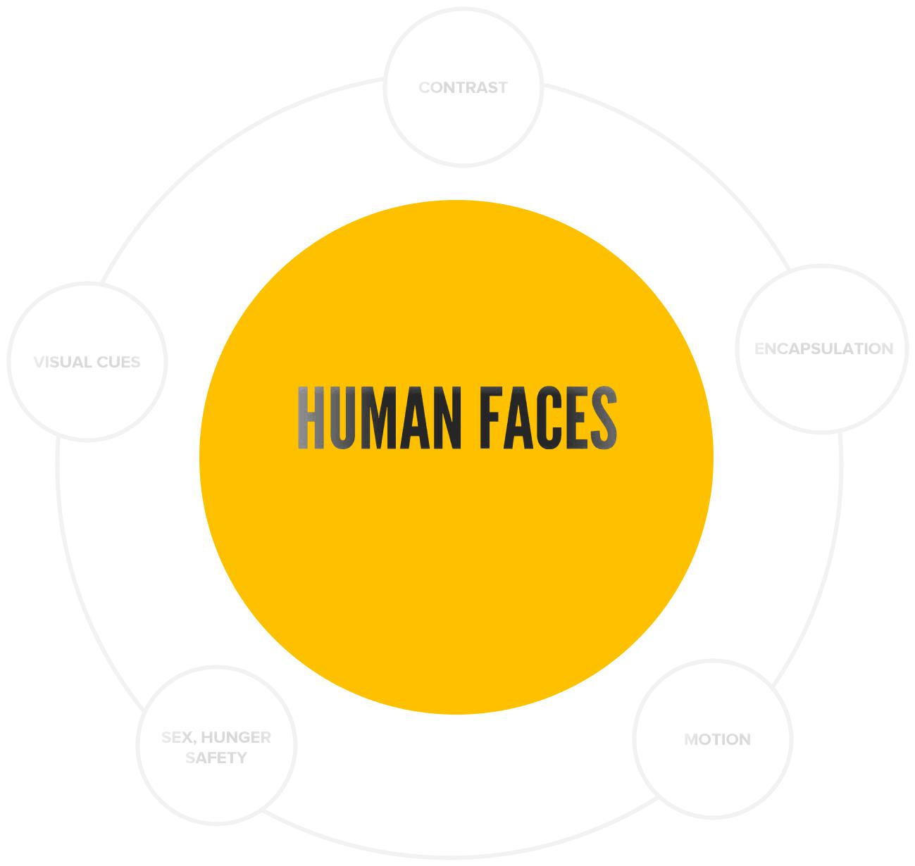 human faces
