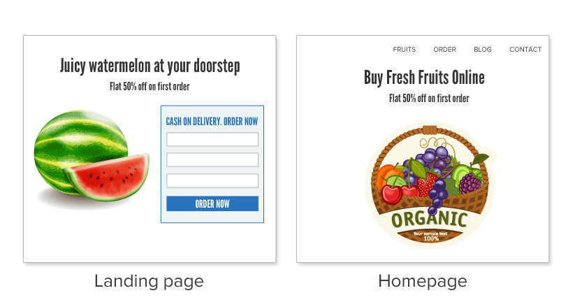 Diffrence between landing page and homepage