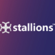 Logo of Stallions