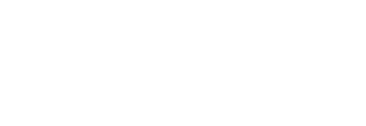 Finnable-white-logo